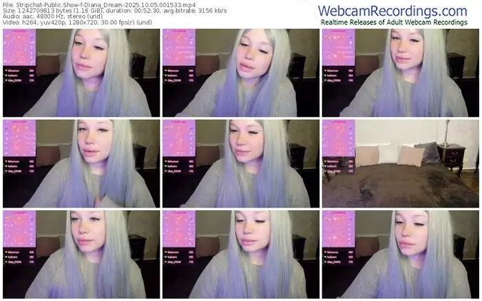 stripchat-diana_dream-10-05-2025-00-15-33