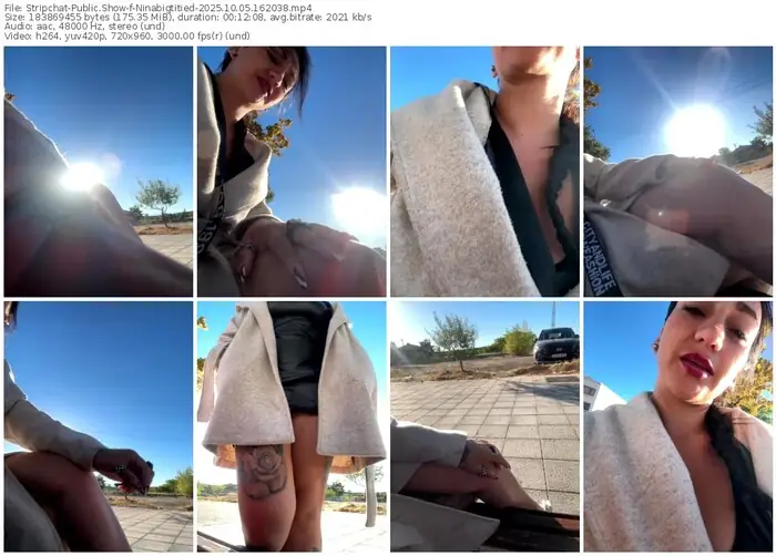 stripchat-ninabigtitied-10-05-2025-16-20-38