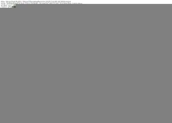 stripchat-tweetiepiexxx-10-05-2025-05-20-09