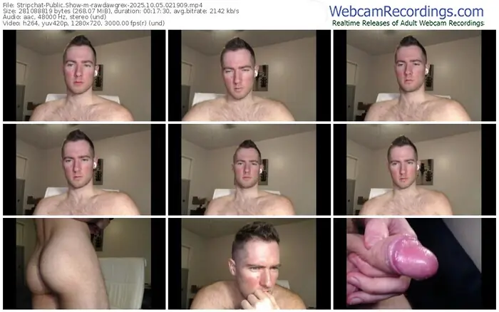 stripchat-rawdawgrex-10-05-2025-02-19-09