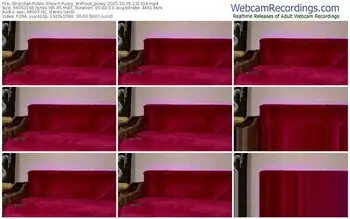 stripchat-pussy_without_pussy-10-05-2025-23-13-14