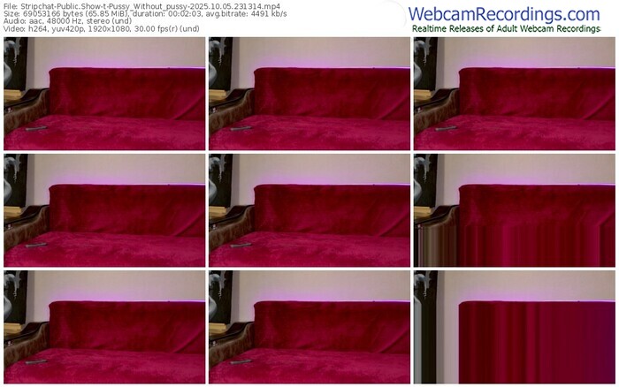 stripchat-pussy_without_pussy-10-05-2025-23-13-14