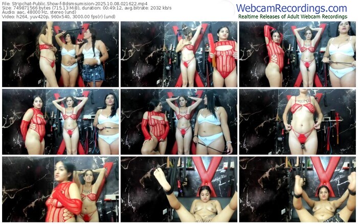stripchat-bdsmsumision-10-08-2025-02-16-22