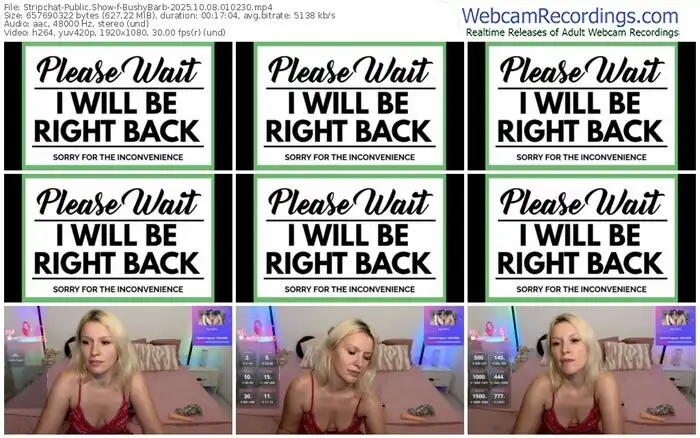 stripchat-bushybarb-10-08-2025-01-02-30