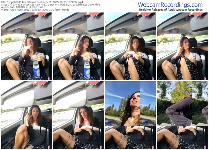 stripchat-dreamlove1-10-08-2025-12-28-08