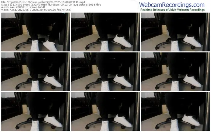 stripchat-joshknights-10-08-2025-09-31-41