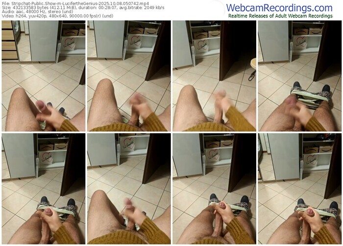 stripchat-luciferthegenius-10-08-2025-05-07-42