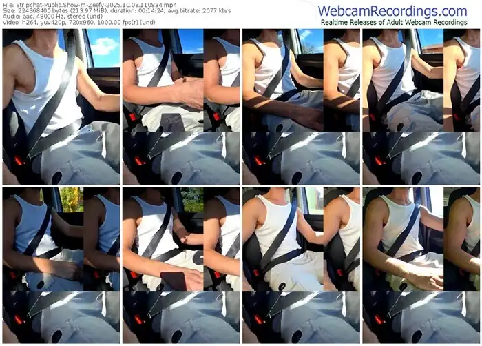 stripchat-zeefy-10-08-2025-11-08-34