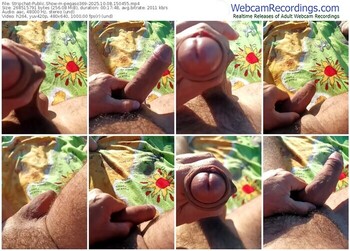 stripchat-pegaso369-10-08-2025-15-04-55