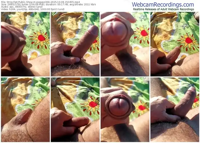 stripchat-pegaso369-10-08-2025-15-04-55