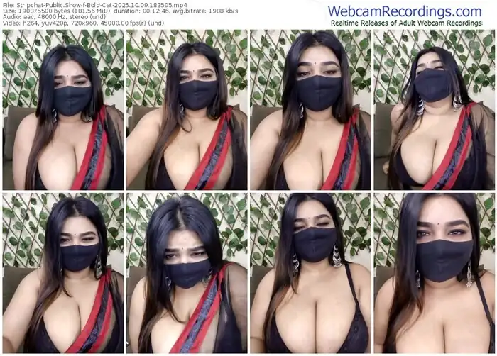 stripchat-bold-cat-10-09-2025-18-35-05