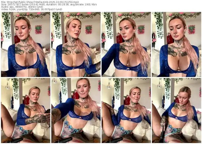 stripchat-stella-kink-10-09-2025-15-12-50