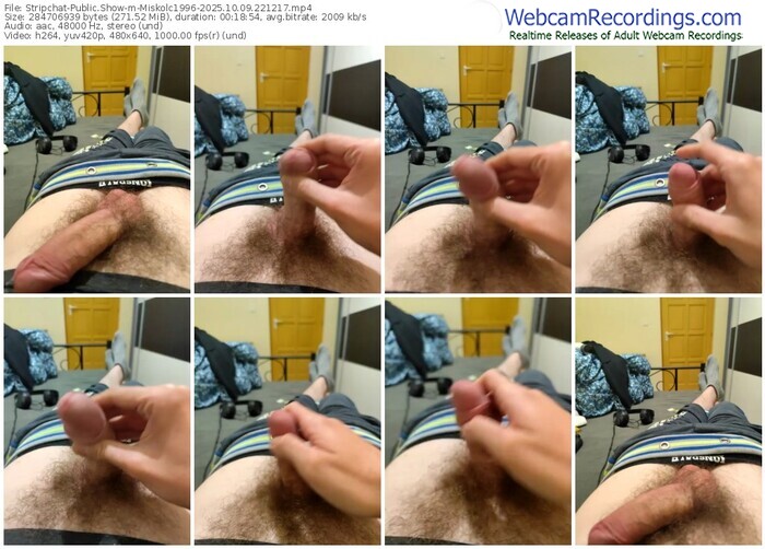 stripchat-miskolc1996-10-09-2025-22-12-17