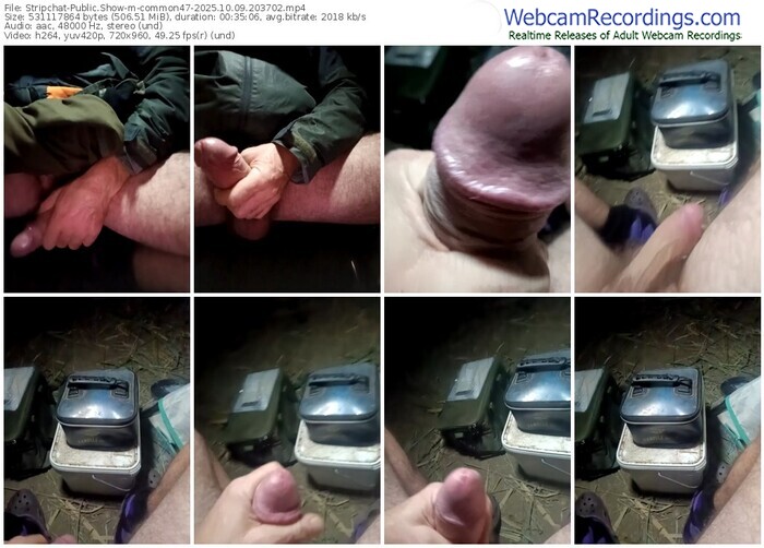 stripchat-common47-10-09-2025-20-37-02