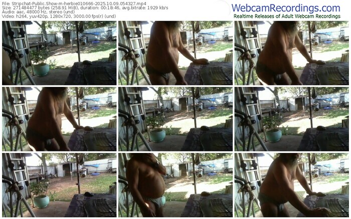 stripchat-herbie010666-10-09-2025-05-43-27