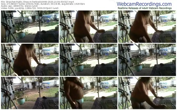 stripchat-herbie010666-10-09-2025-05-43-27