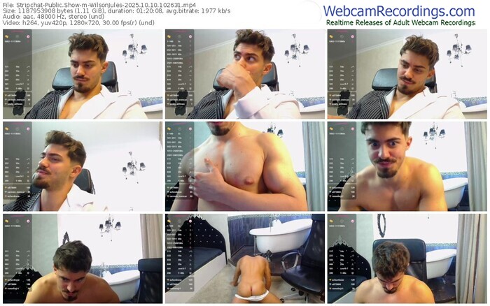 stripchat-wilsonjules-10-10-2025-10-26-31