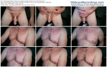 stripchat-usdirtymikee9-10-10-2025-03-37-25