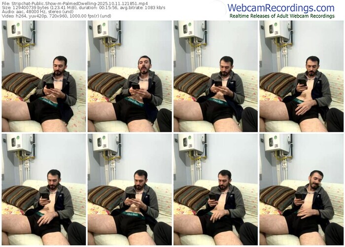 stripchat-palmeddwelling-10-11-2025-12-18-51