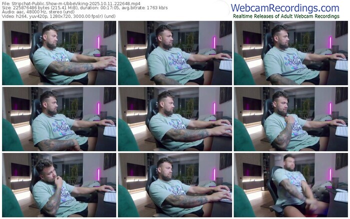 stripchat-ubbeviking-10-11-2025-22-26-48