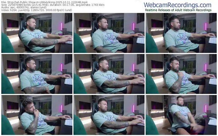 stripchat-ubbeviking-10-11-2025-22-26-48