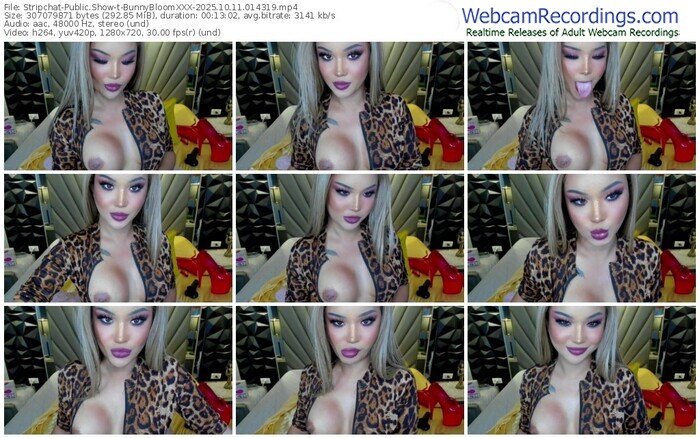 stripchat-bunnybloomxxx-10-11-2025-01-43-19