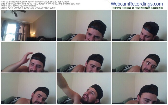 stripchat-princessveexo-10-12-2025-14-25-31