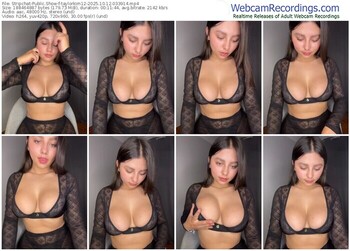 stripchat-taylorkim12-10-12-2025-03-39-14