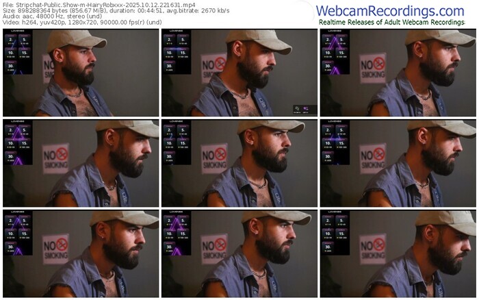 stripchat-hairyrobxxx-10-12-2025-22-16-31