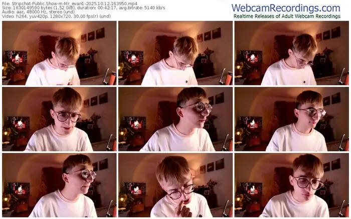stripchat-mr_evan1-10-12-2025-16-39-50