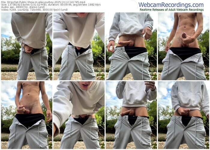 stripchat-alexyourboy-10-12-2025-14-17-45