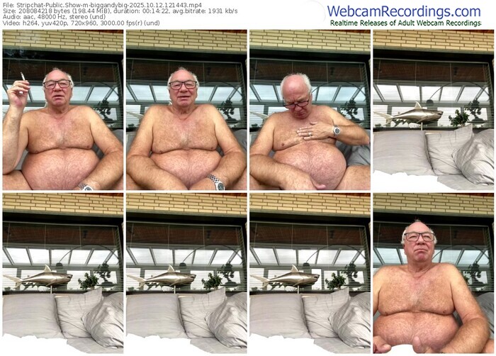 stripchat-biggandybig-10-12-2025-12-14-43
