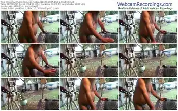 stripchat-herbie010666-10-12-2025-06-11-30