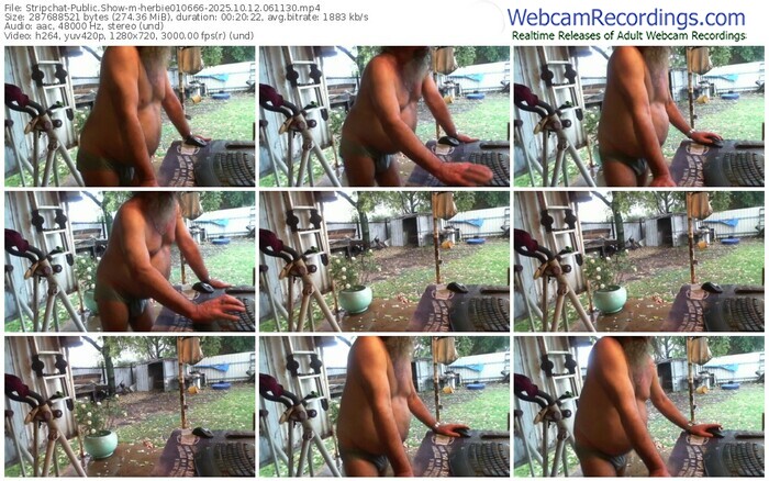 stripchat-herbie010666-10-12-2025-06-11-30