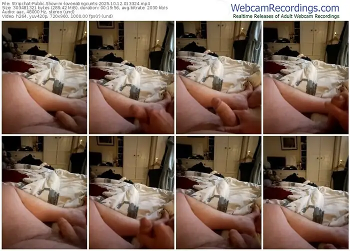stripchat-loveeatingcunts-10-12-2025-01-33-24