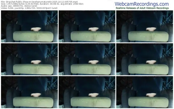 stripchat-lovehairymature90-10-12-2025-00-57-05