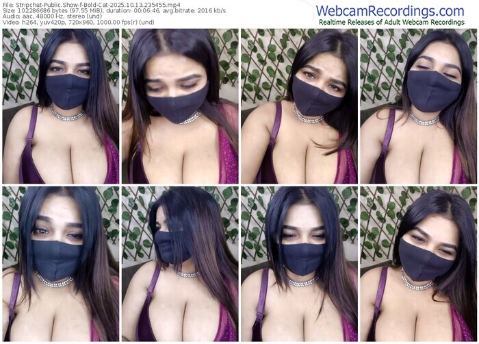 stripchat-bold-cat-10-13-2025-23-54-55