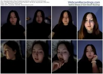 stripchat-charming_hamster_-10-13-2025-22-17-09