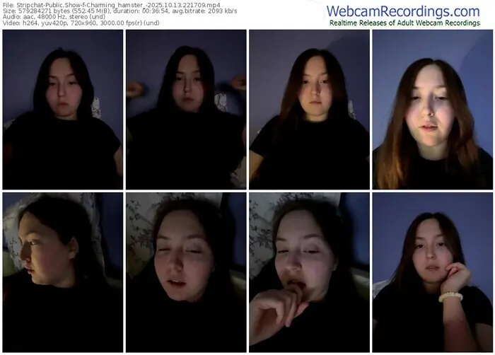 stripchat-charming_hamster_-10-13-2025-22-17-09