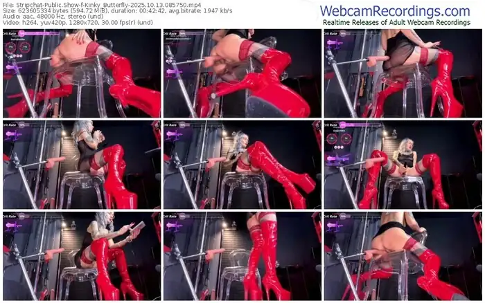 stripchat-kinky_butterfly-10-13-2025-08-57-50