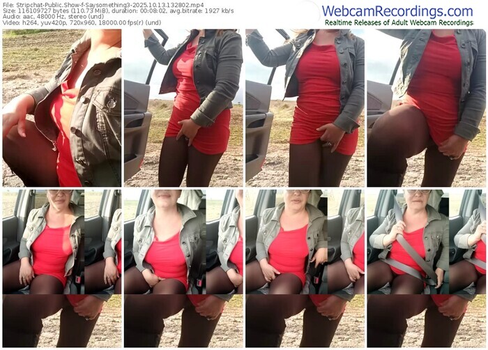 stripchat-saysomething3-10-13-2025-13-28-02