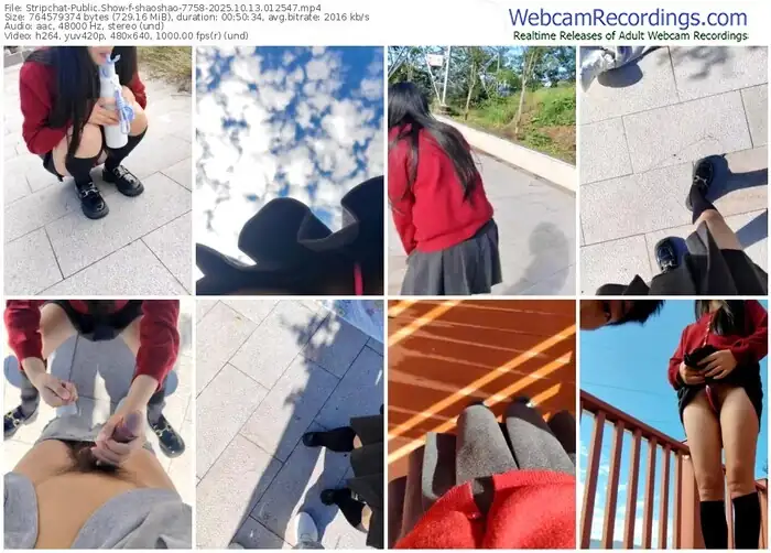 stripchat-shaoshao-7758-10-13-2025-01-25-47