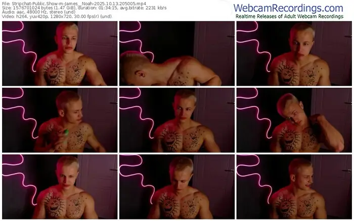 stripchat-james__noah-10-13-2025-20-50-05