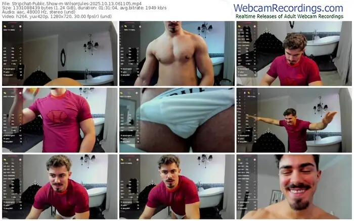 stripchat-wilsonjules-10-13-2025-06-11-05