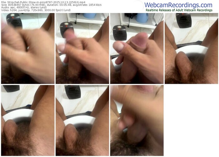 stripchat-pino8787-10-13-2025-22-56-16