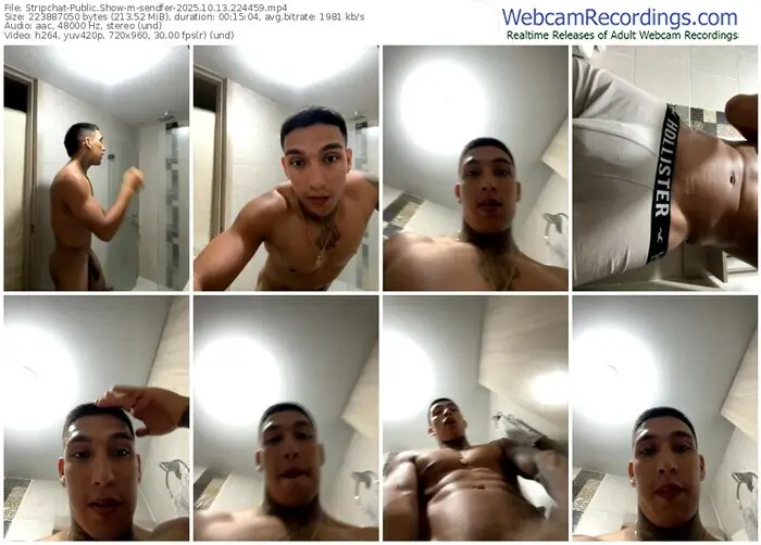 stripchat-sendfer-10-13-2025-22-44-59