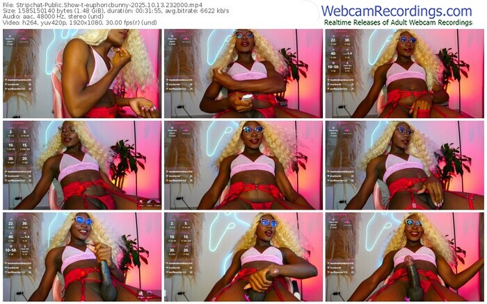 stripchat-euphoricbunny-10-13-2025-23-20-00
