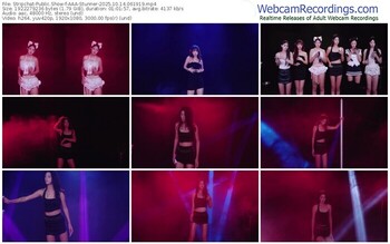 stripchat-aaa-stunner-10-14-2025-06-19-19