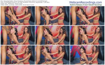 stripchat-destroy_the_bimbo1-10-14-2025-03-25-54