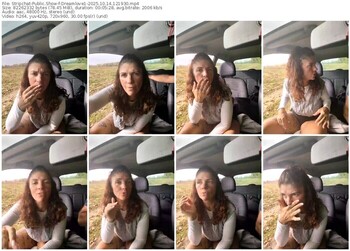 stripchat-dreamlove1-10-14-2025-12-19-30